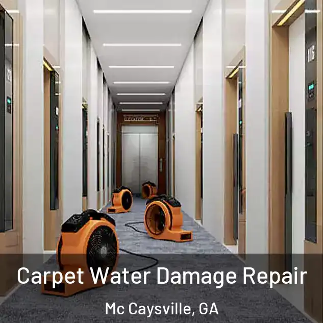  Carpet Water Damage Repair Mc Caysville, GA