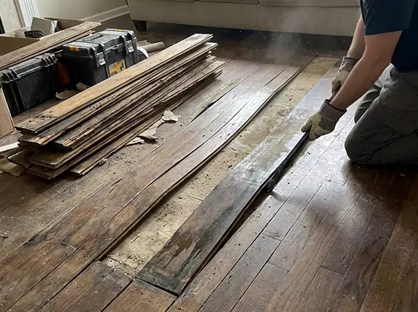 Water Damage Drying in Mc Caysville