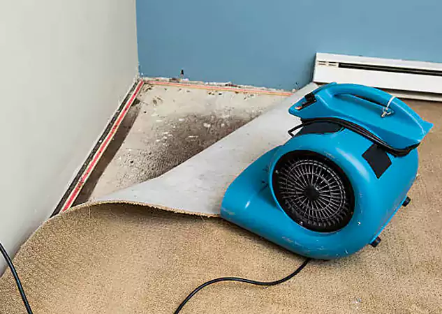 Your Water Damage Experts in Mc Caysville, GA