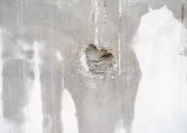 Your Mold Mitigation Solutions Partner in Mc Caysville, GA