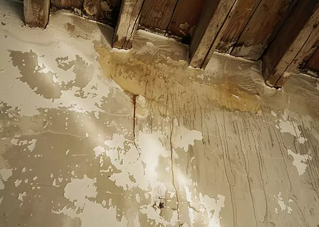 Your Trusted Restoration Company in Mc Caysville, GA