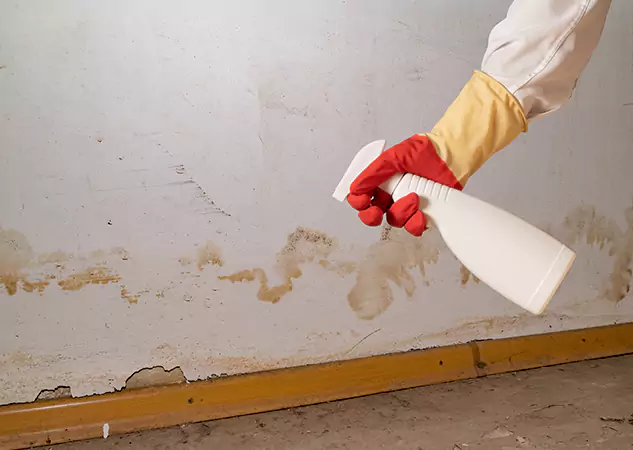 Your Water Restoration and Mold Remediation Specialists in Mc Caysville, GA
