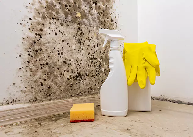 Your Reliable Restoration Company in Mc Caysville, GA