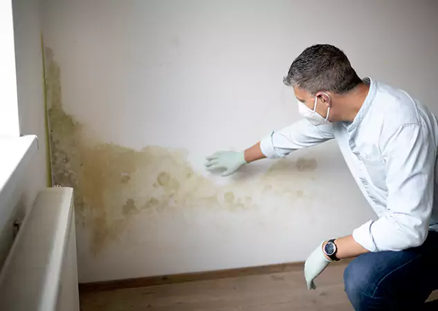 Reach Our Remediation Team Before Damage Grows in Mc Caysville, GA!