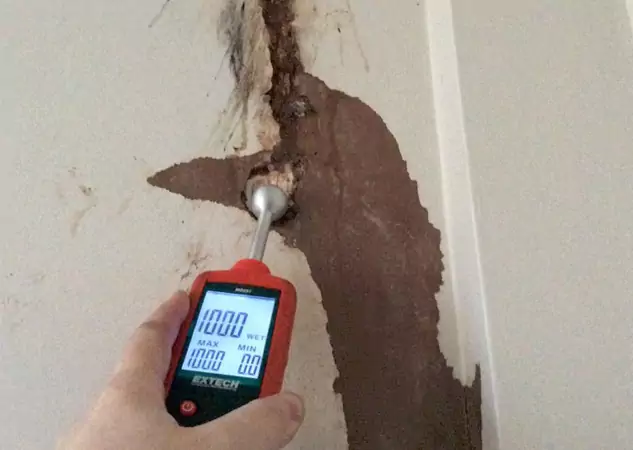 Your Water Damage Assessment Partner in Mc Caysville, GA