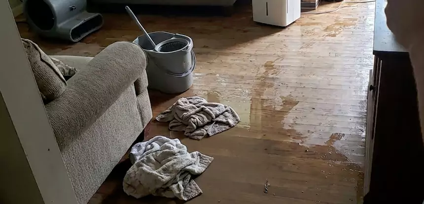 Professional Basement Water Remediation Services in Mc Caysville, GA