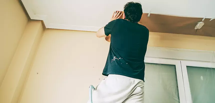 Ceiling Water Damage Repair in Mc Caysville