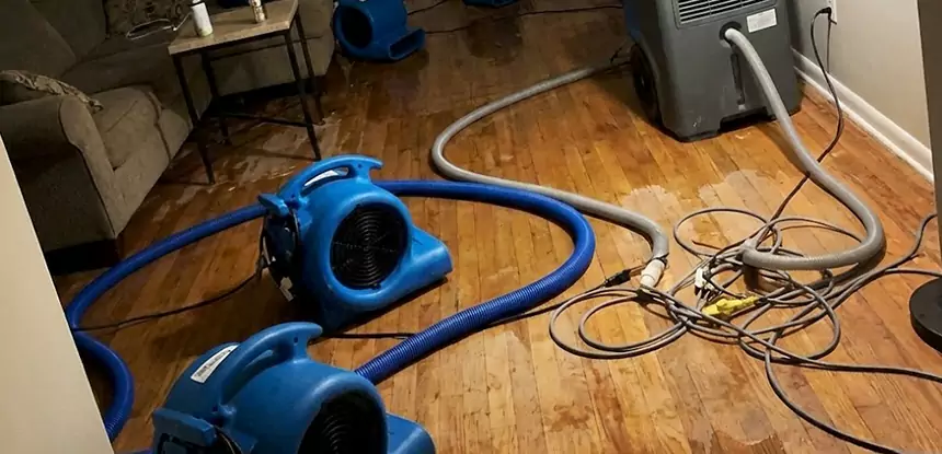 Basement Flood Restoration Services in Mc Caysville