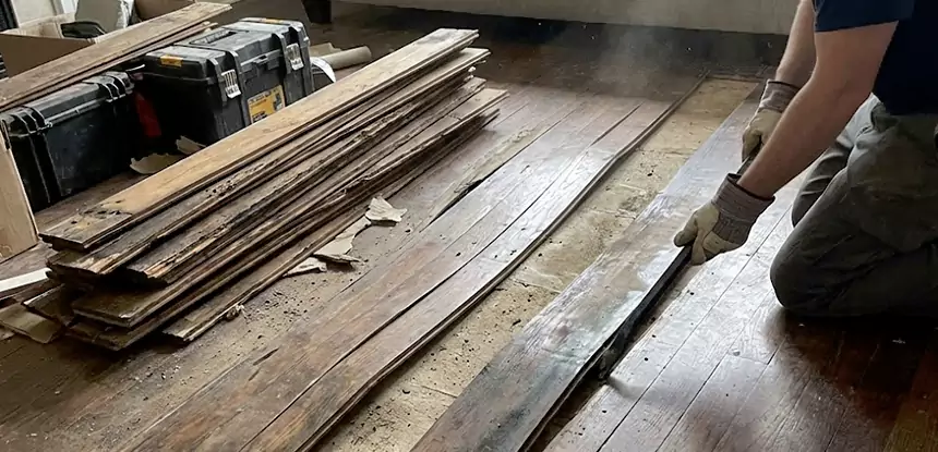Wood Rot and Fungus Repair in Mc Caysville
