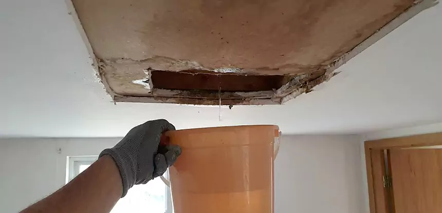 Ceiling Mold Repair Mc Caysville 