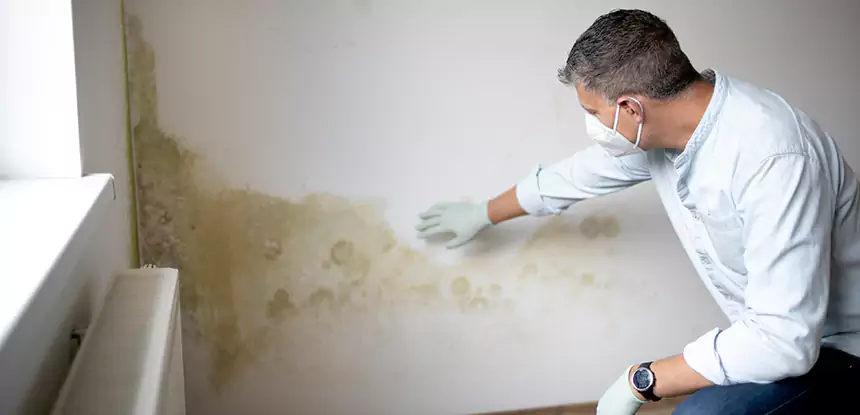 Mold and Water Damage Repair in Mc Caysville
