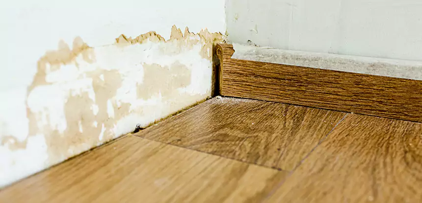 Professional Fix Water Damaged Wood Services in Mc Caysville, GA