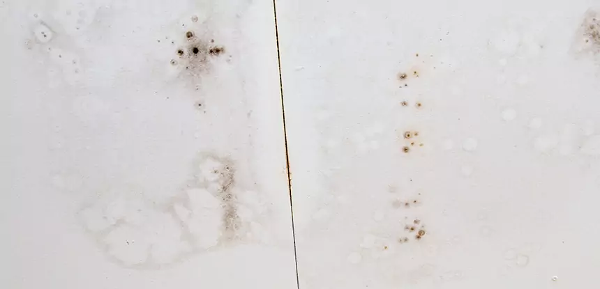 Professional Water Stain Repair Services in Mc Caysville, GA