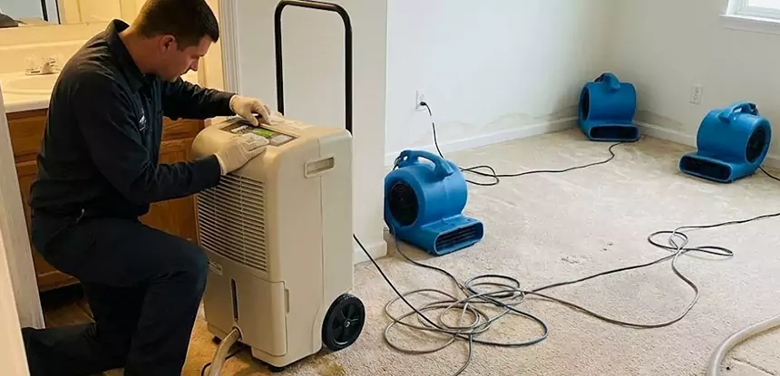 Professional Wet Carpet Removal Services in Mc Caysville, GA