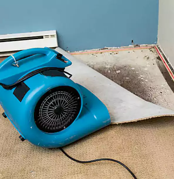 Why Mc Caysville Trusts McCaysville Restoration Pro for Carpet Flood Recovery?