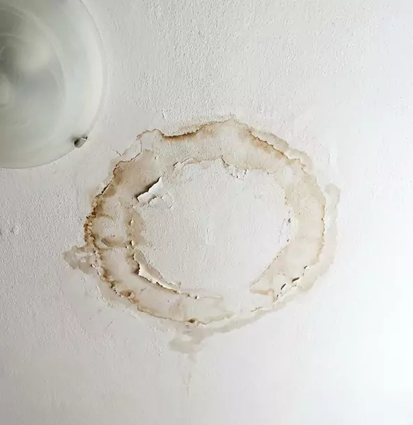 Why Mc Caysville Property Owners Choose McCaysville Restoration Pro for Ceiling Water Damage Restoration?