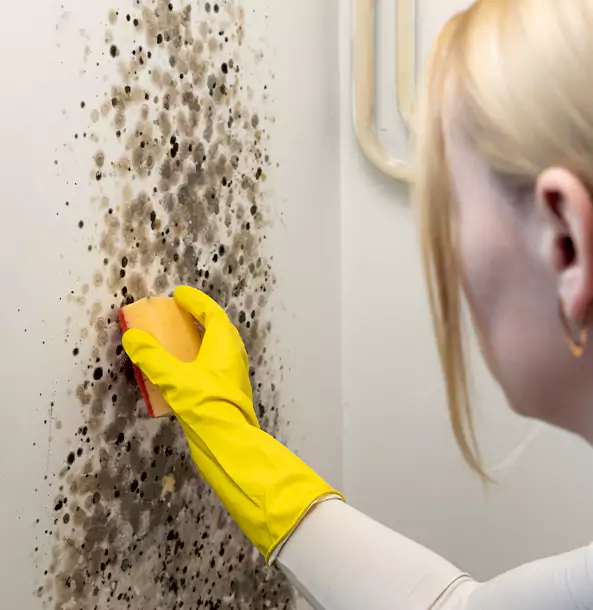 Why McCaysville Restoration Pro Leads Mold Remediation in Mc Caysville?
