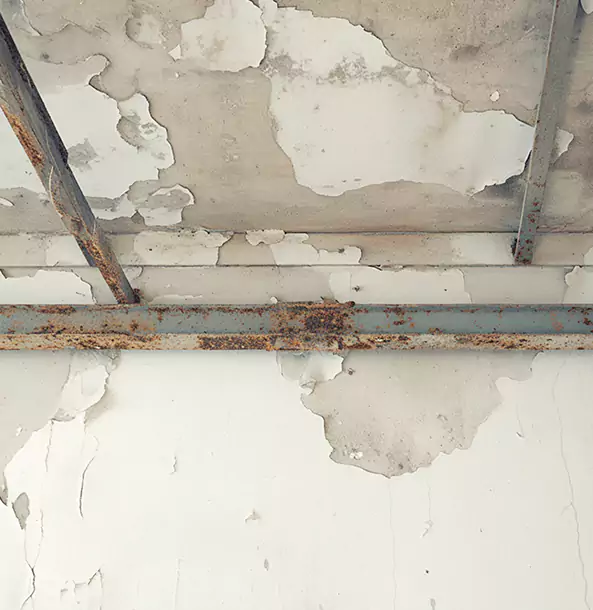 Why McCaysville Restoration Pro Is the Right Choice in Mc Caysville, GA?