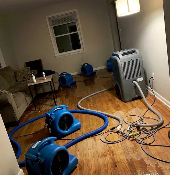 Why Mc Caysville Property Owners Rely on McCaysville Restoration Pro for Remediation?