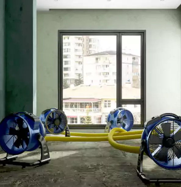 Why Mc Caysville Property Owners Trust McCaysville Restoration Pro for Water Damage Drying?