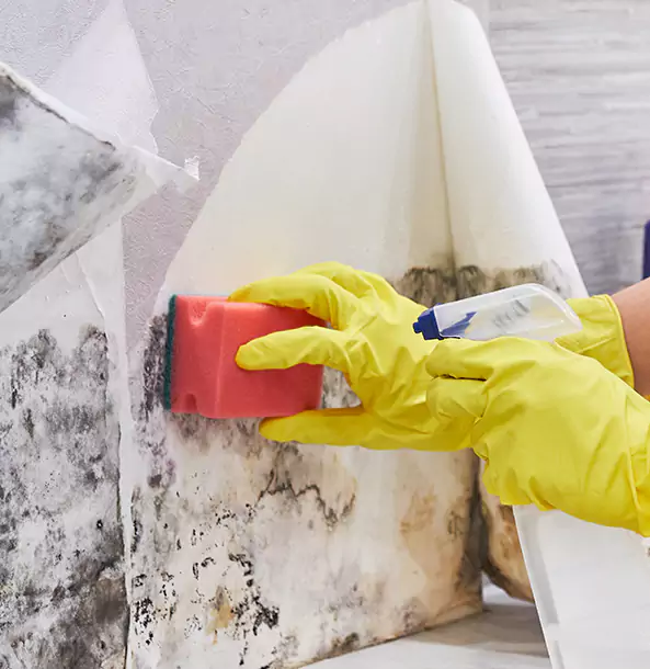 Why Mc Caysville Trusts McCaysville Restoration Pro for Mold and Water Restoration?