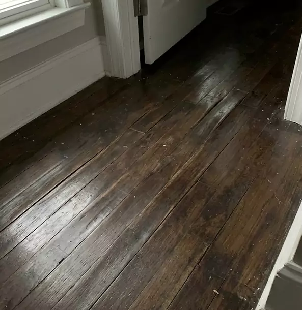 Why Mc Caysville Homeowners Trust McCaysville Restoration Pro to Fix Water Damaged Wood?