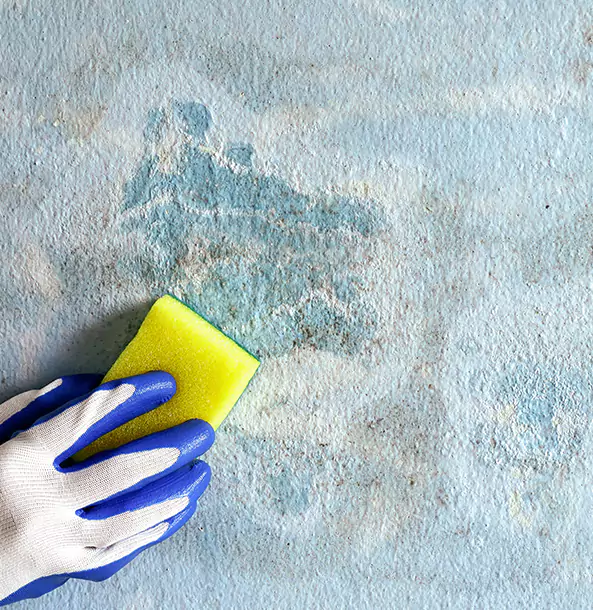 Why McCaysville Restoration Pro Is the Right Choice in Mc Caysville, GA?