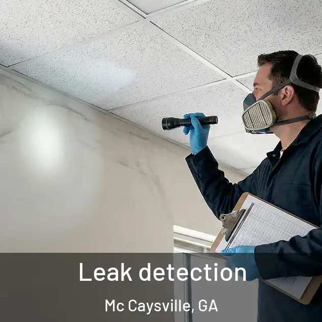  Leak detection Mc Caysville, GA