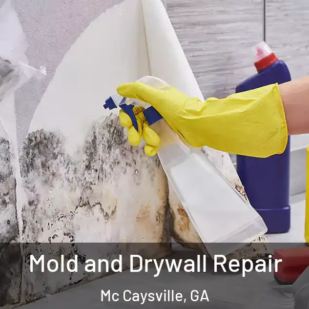  Mold and Drywall Repair Mc Caysville, GA