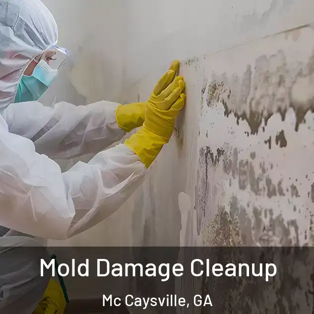  Mold Damage Cleanup Mc Caysville, GA