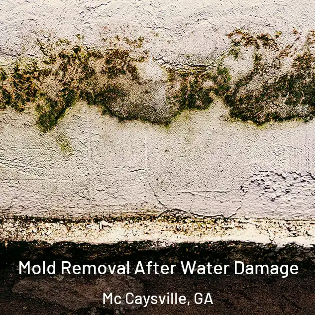  Mold Removal After Water Damage Mc Caysville, GA