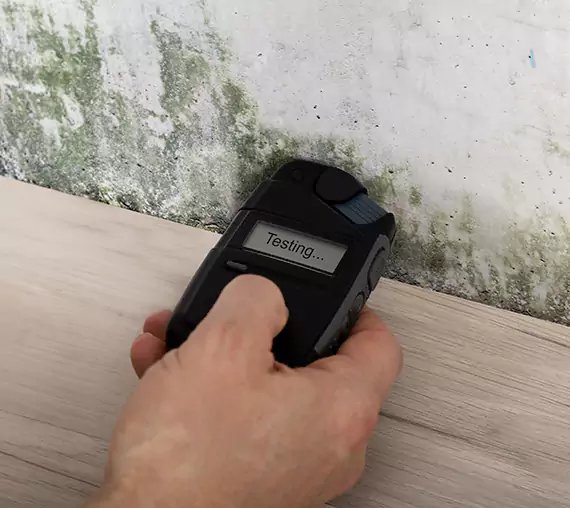 Mold Remediation Service Mc Caysville
