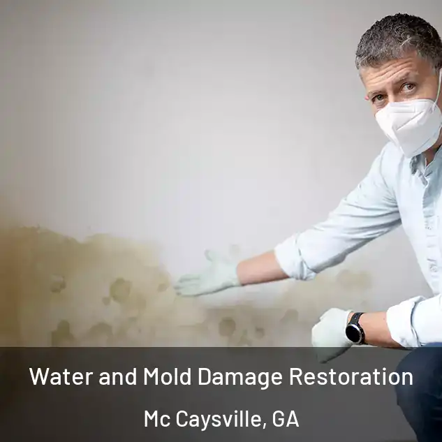  Water and Mold Damage Restoration Mc Caysville, GA