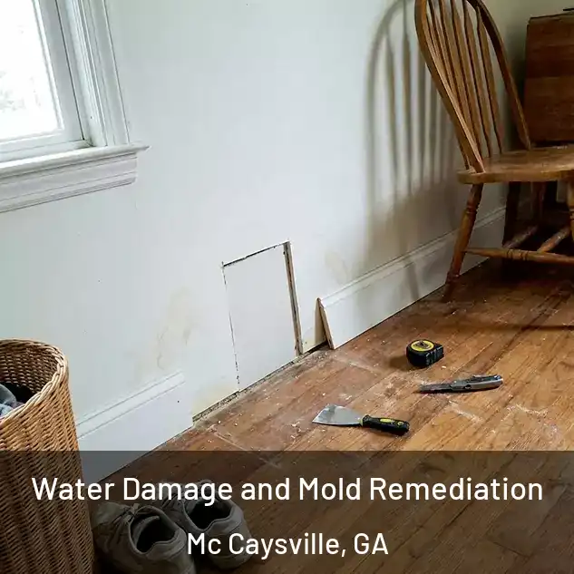  Water Damage and Mold Remediation Mc Caysville, GA