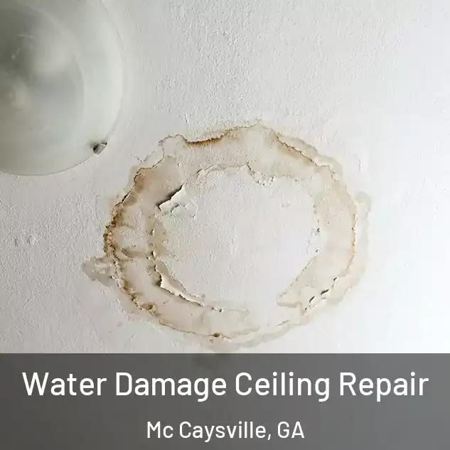  Water Damage Ceiling Repair Mc Caysville, GA