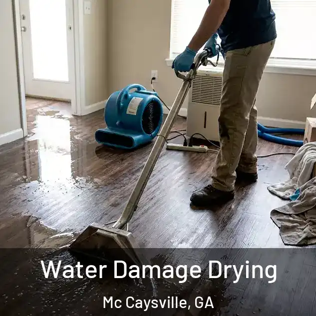  Water Damage Drying Mc Caysville, GA