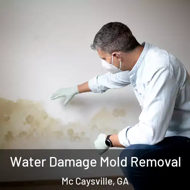  Water Damage Mold Removal Mc Caysville, GA