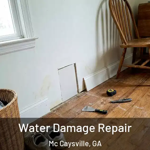  Water Damage Repair Mc Caysville, GA