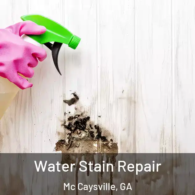  Water Stain Repair Mc Caysville, GA